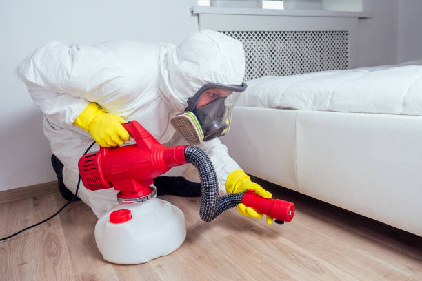 Best Pest Exclusion Services  in Littlerock, CA